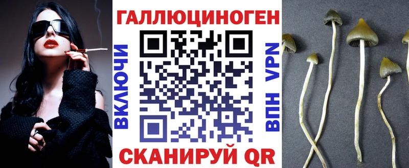 гидра сайт  Питкяранта  Псилоцибиновые грибы мицелий  купить наркотики цена 